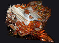Special edition – one of a kind dash octopus metal art with epoxy resin coat Pete Koza Metal Art
